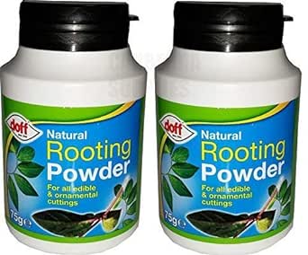 Doff Rooting Powder 75g- Pack of 2