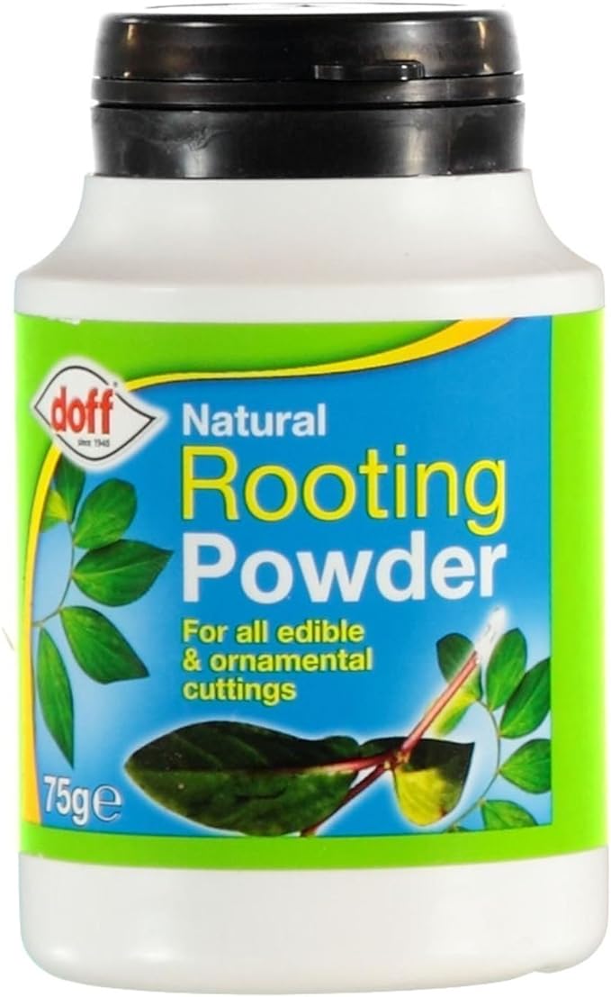 Doff Rooting Powder 75g- Pack of 3