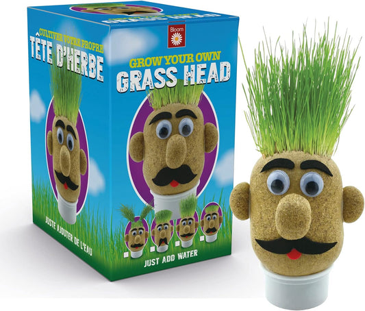 Funtime - Grass Head